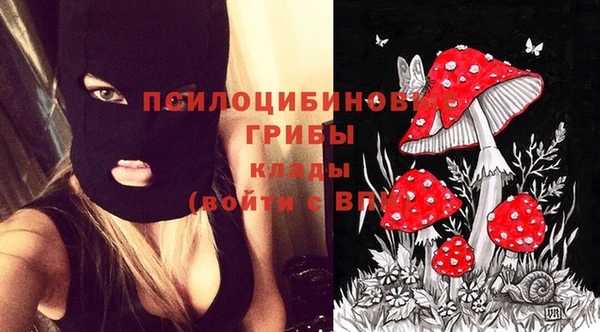 эйфоретик Майский
