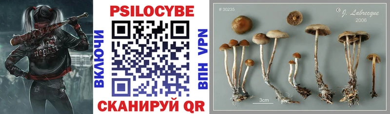 Псилоцибиновые грибы мухоморы  Купить где  Жуков 